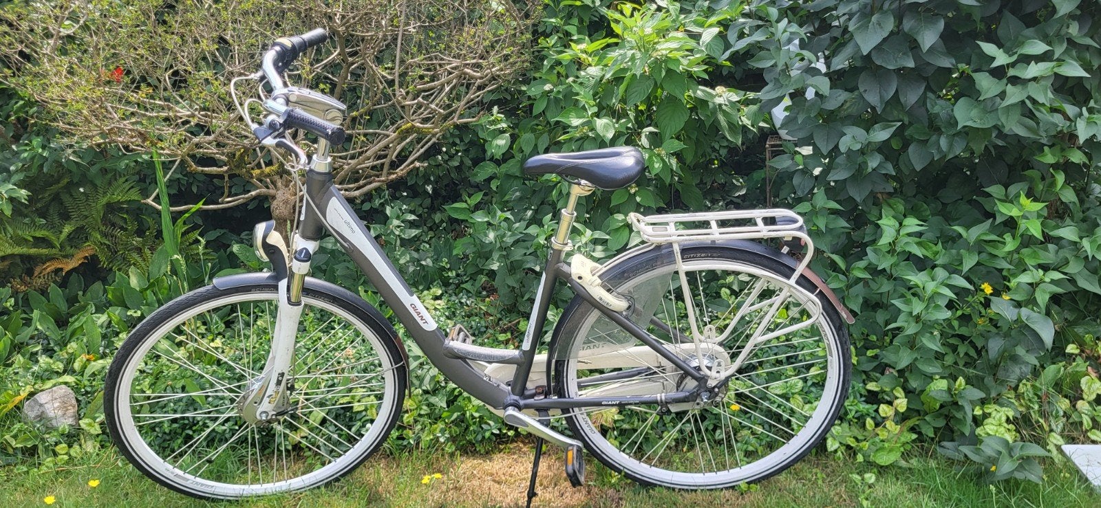Damesfiets Giant Ultimo, Fietsen en Brommers, Fietsen | Dames | Damesfietsen, Ophalen, Giant, Versnellingen