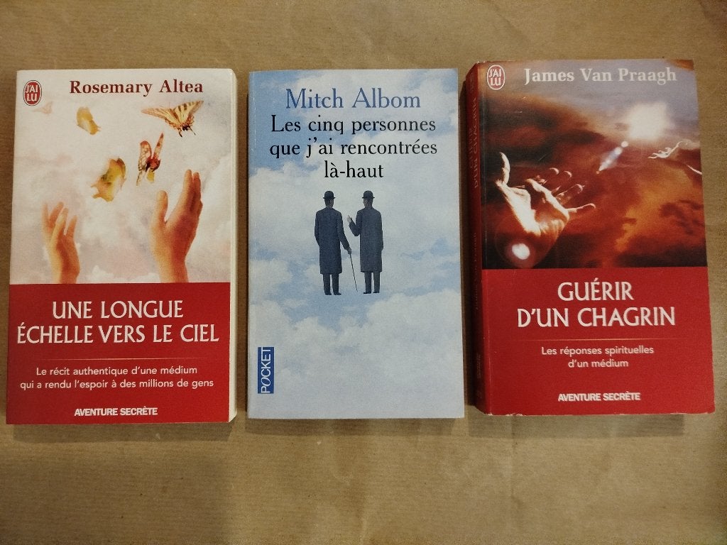 Lot de 3 livres (spiritualité), Ophalen, Gelezen