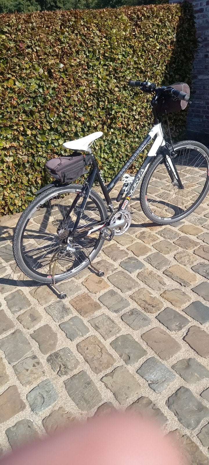 dames sportfiets, Enlèvement
