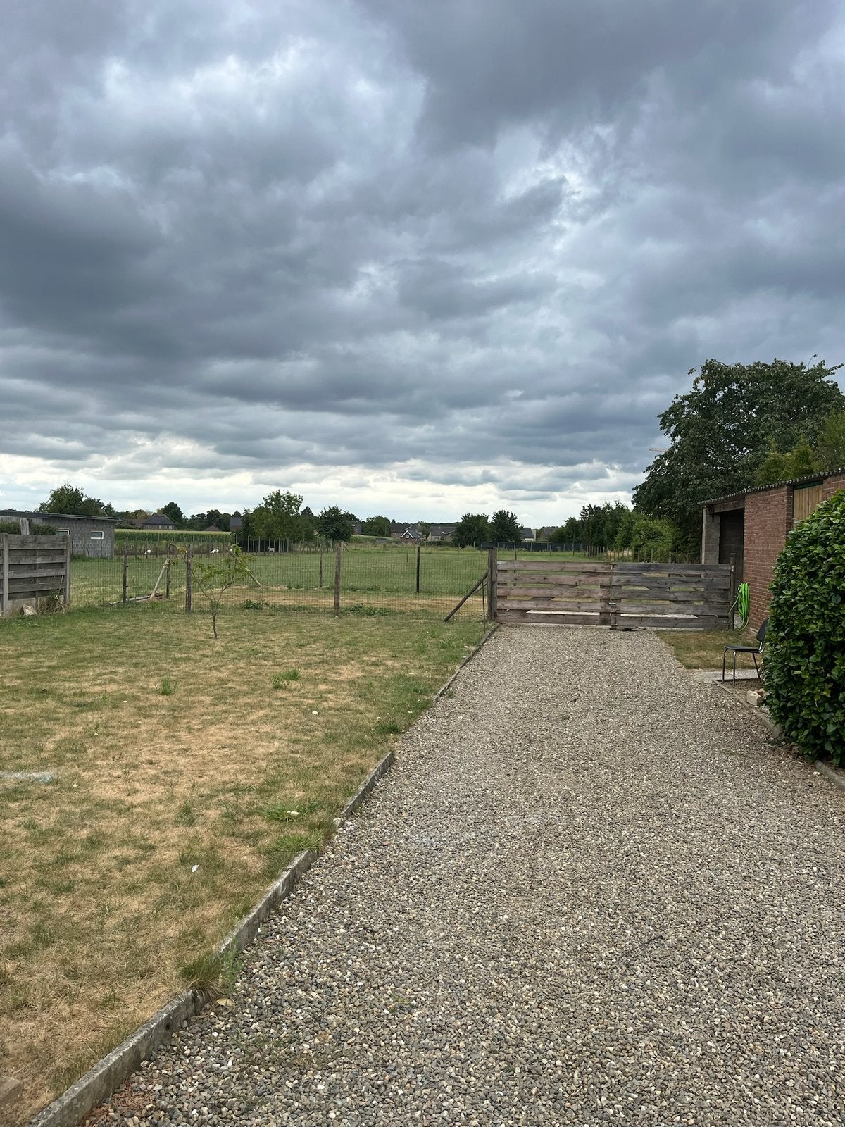 ZomerWeide