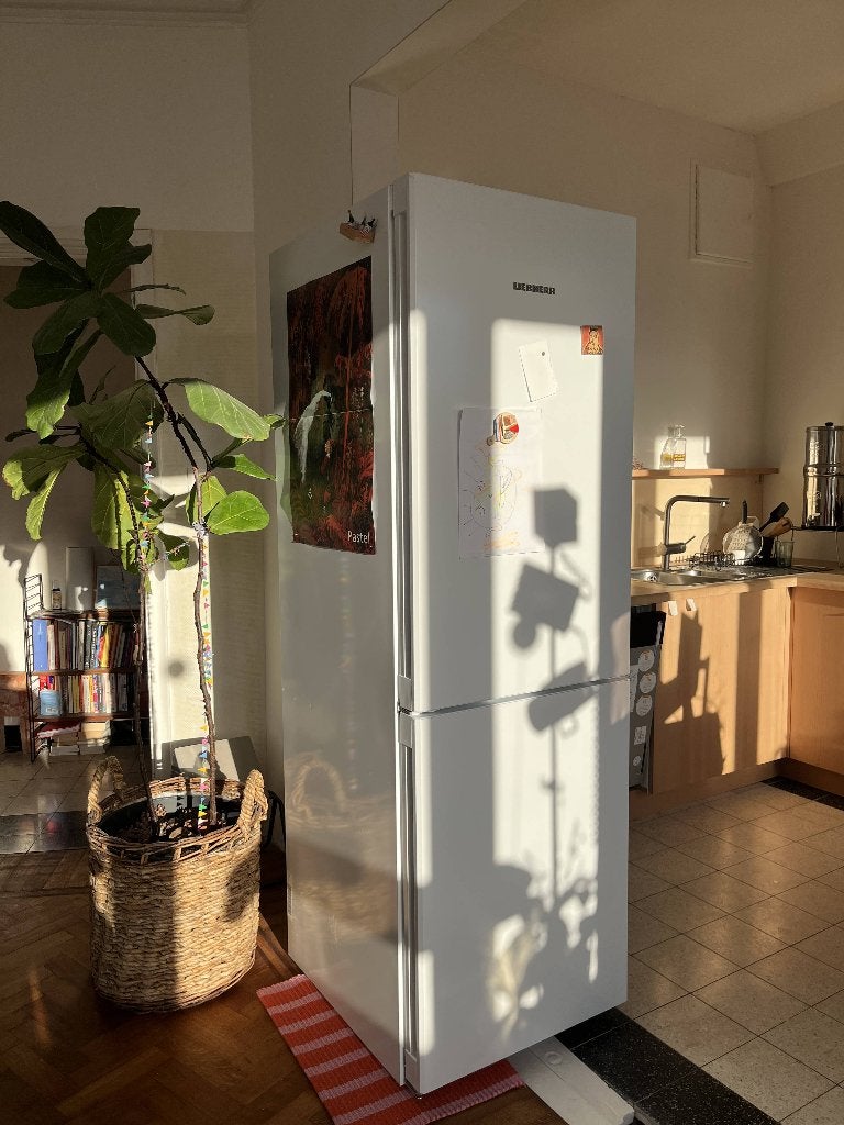 Frigo Liebherr, Electroménager, Réfrigérateurs & Frigos, Avec compartiment congélateur, 160 cm ou plus, Enlèvement, Utilisé