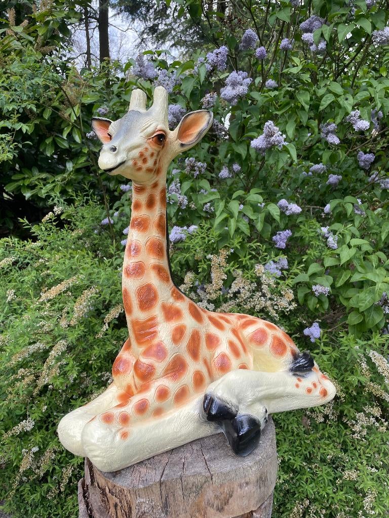 Giraf, giraffe, tuin, dieren, zwanger 60cm, Ophalen, Nieuw, Kunststof, Dierenbeeld
