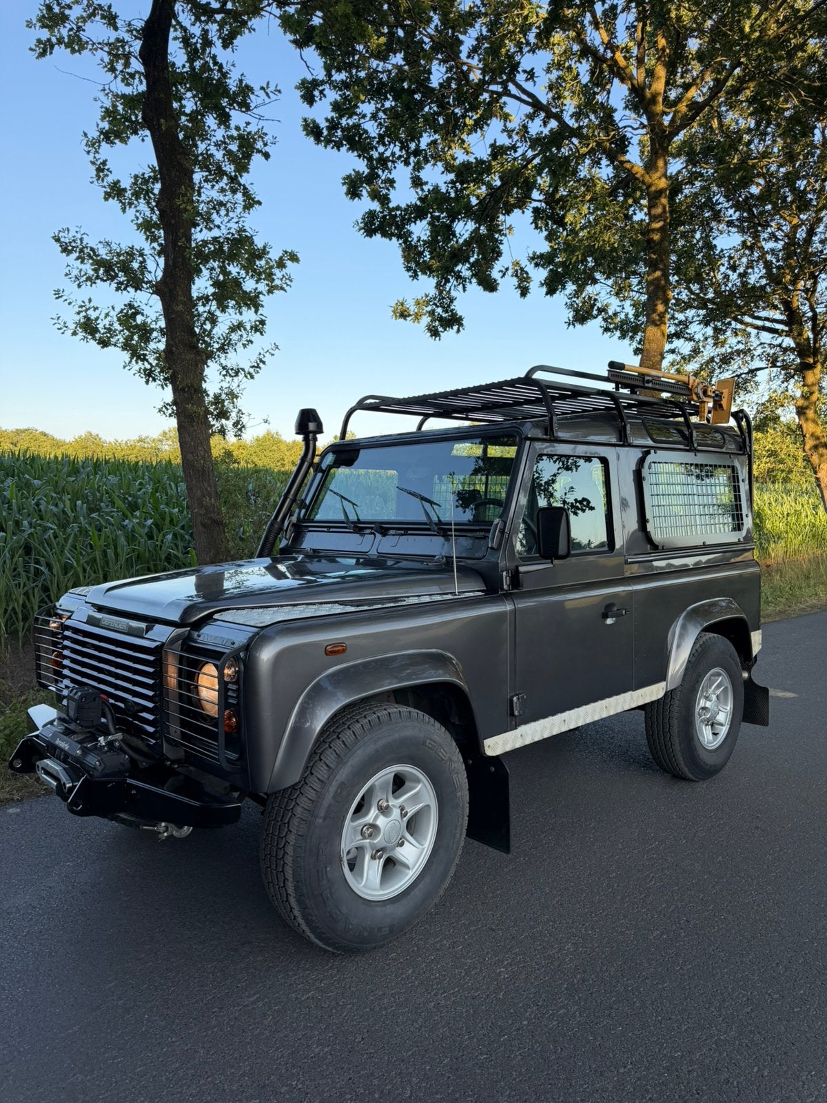 Land Rover Defender td5, 90 kW, Argent ou Gris, Achat, 2 places