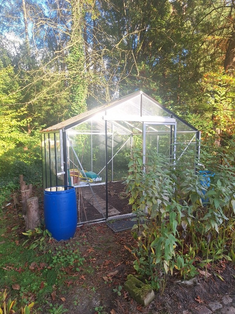 Serre / Tuinkas 3x3m Glas * tot 29/10, Enlèvement, Utilisé