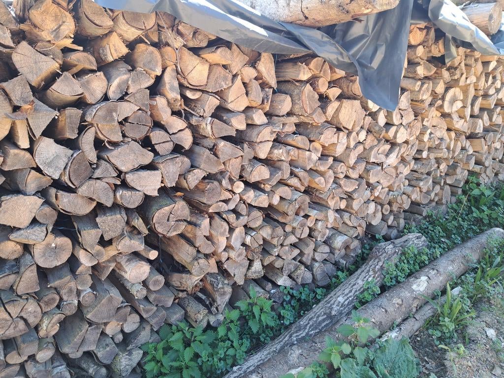 Bois de chauffage, Enlèvement, Hêtre