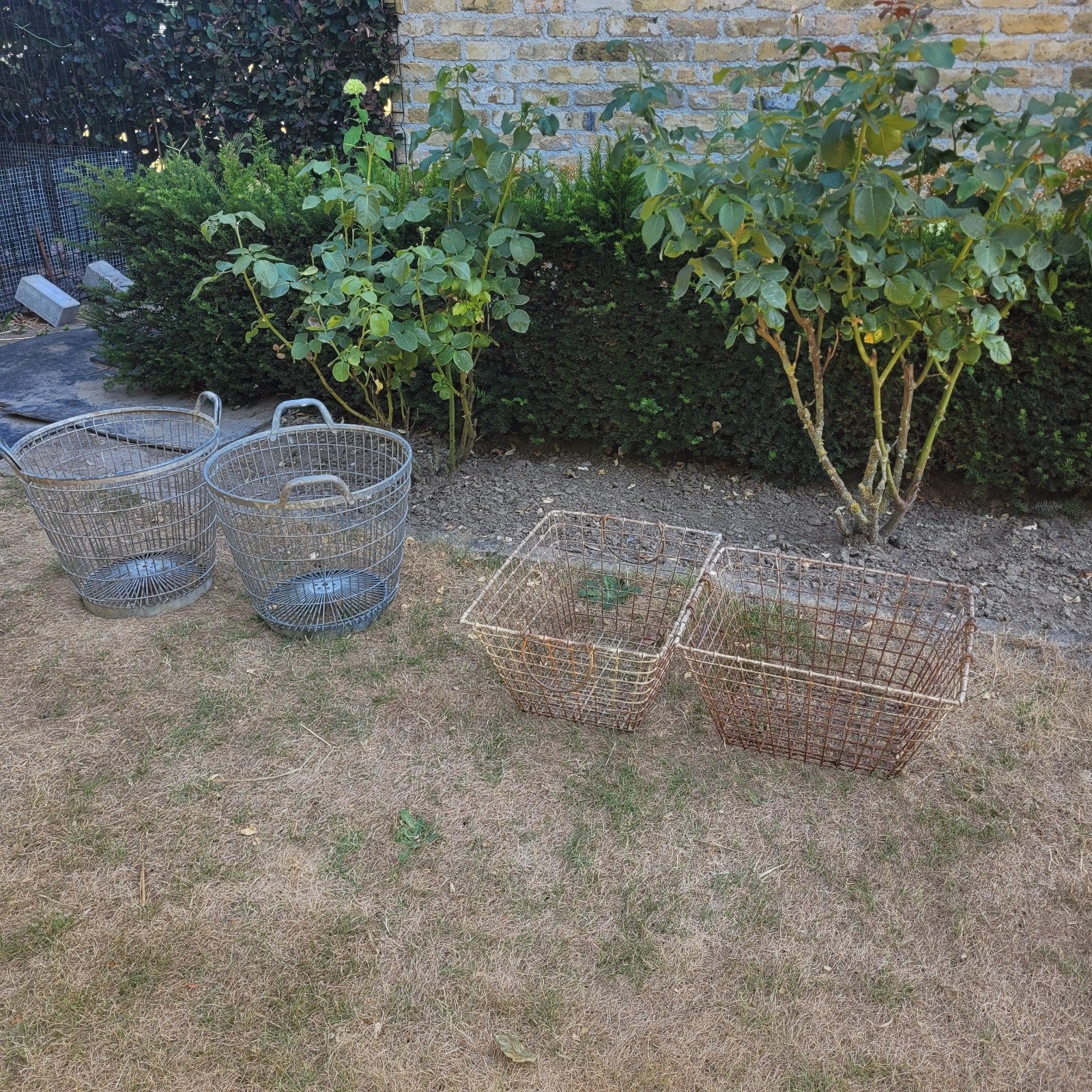 aardappelen manden / oestermanden. de oude echte kwaliteit, Tuin en Terras, Hand-tuingereedschap, Ophalen of Verzenden
