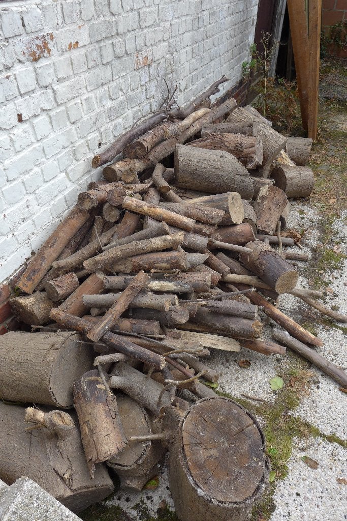 Brandhout gratis, Ophalen, Overige houtsoorten, Stammen