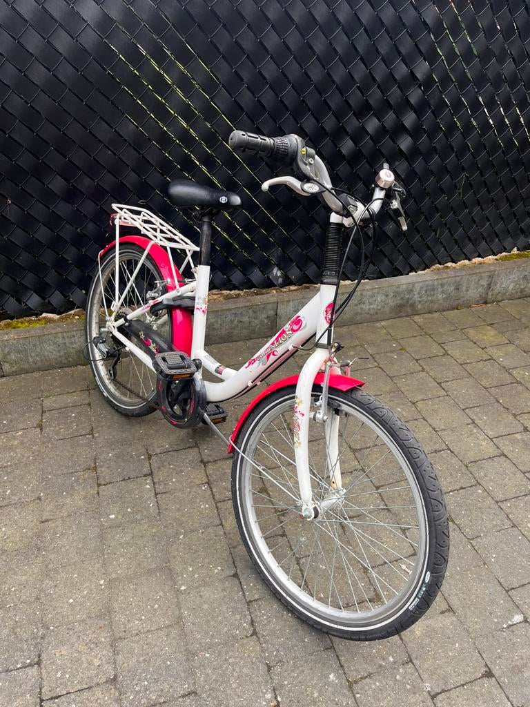 Golden Lion fiets, Fietsen en Brommers, Ophalen, Zo goed als nieuw