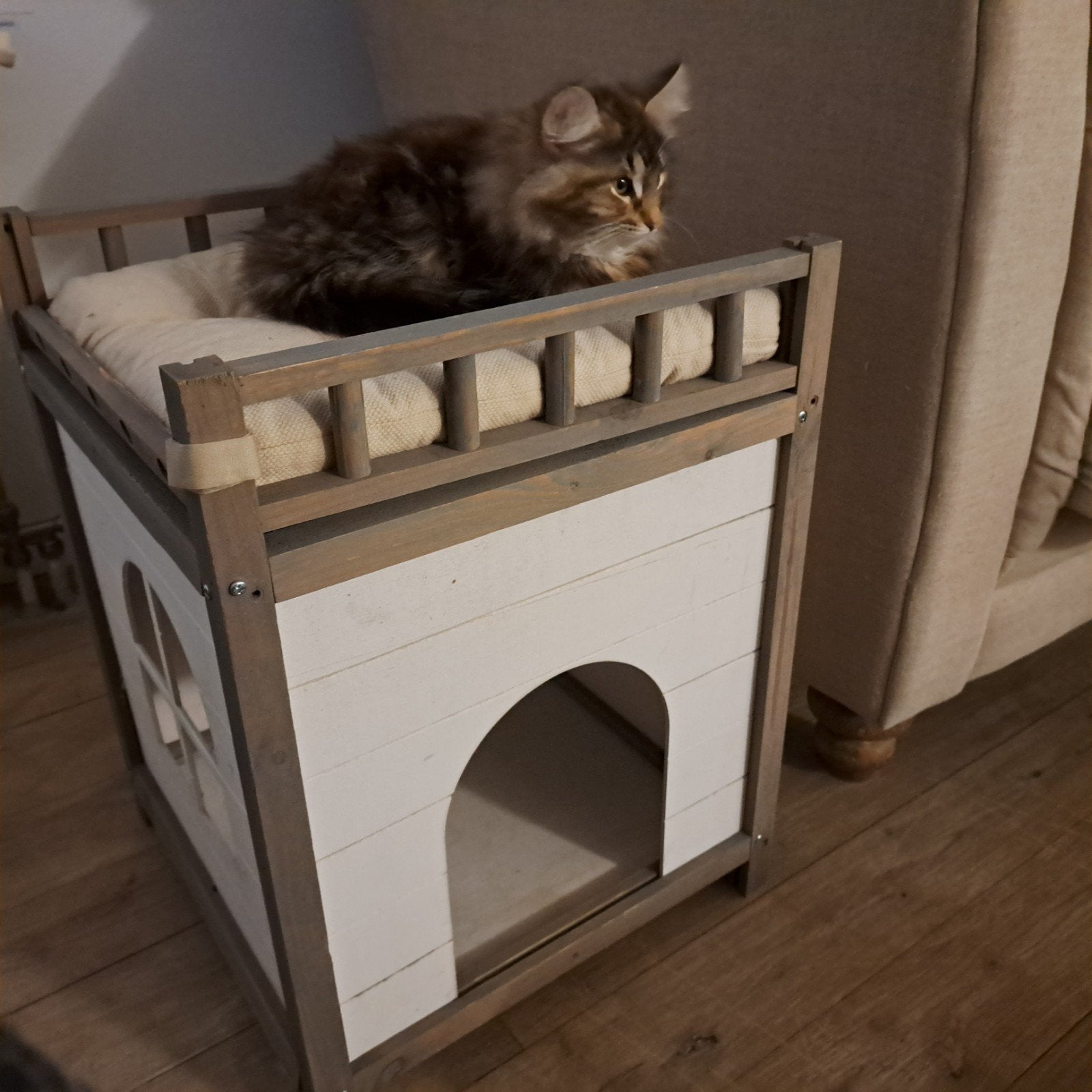 katten bed/huis, Enlèvement