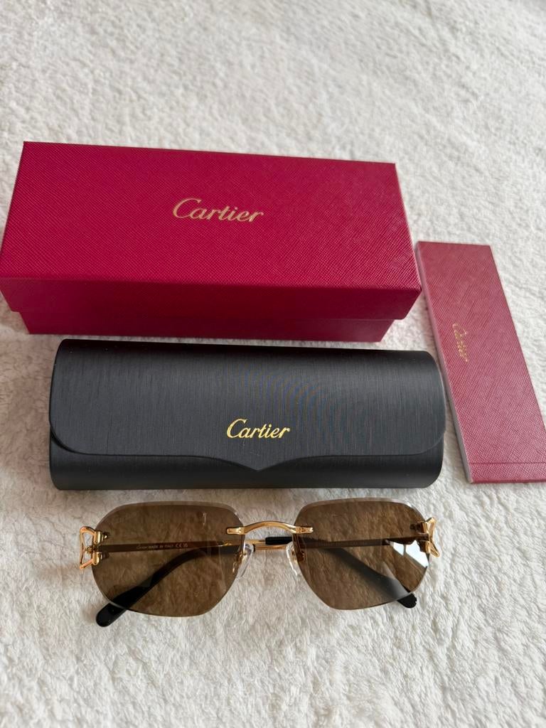 Lunettes Cartier, Bijoux, Sacs & Beauté, Lunettes de Soleil & Lunettes | Hommes, Enlèvement, Comme neuf, Lunettes