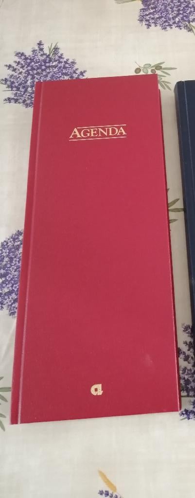 NIEUWE grote agenda, Divers, Agendas, Enlèvement ou Envoi, Neuf
