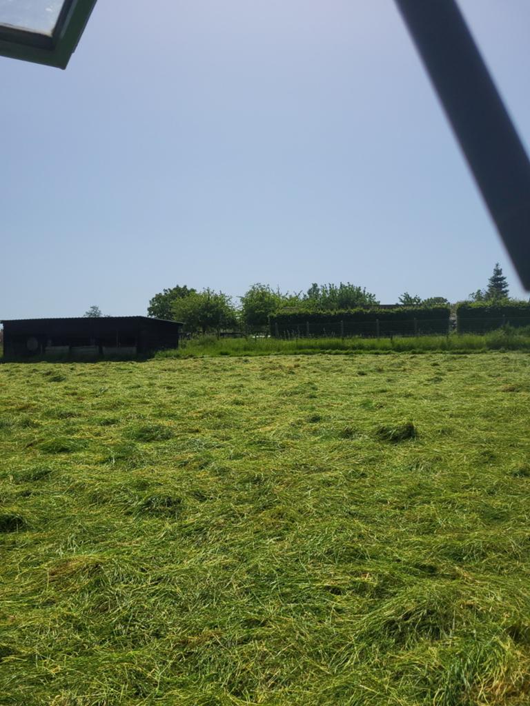 Weidehooi, Zakelijke goederen, Landbouw | Veevoer, Ophalen