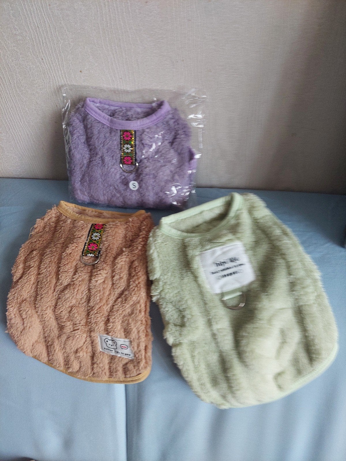 Manteau petit chien entre  style chiwawa, Enlèvement