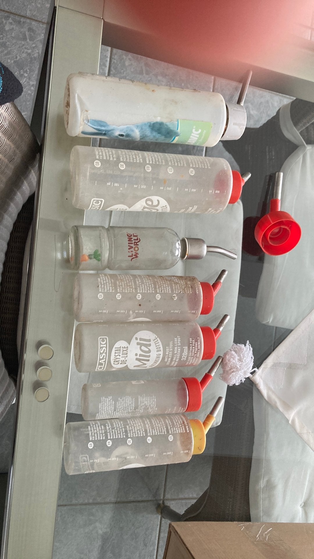 Drinkflessen knaagdieren, Animaux & Accessoires, Rongeurs & Lapins | Accessoires, Enlèvement ou Envoi, Comme neuf