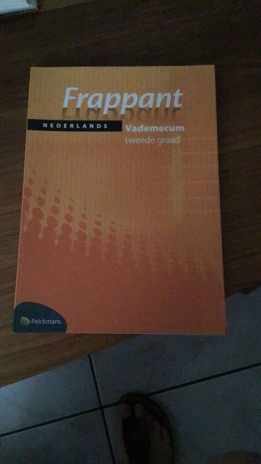 frappant Nederlands Vademecum tweede graad, Ophalen of Verzenden, Zo goed als nieuw, ASO, Nederlands