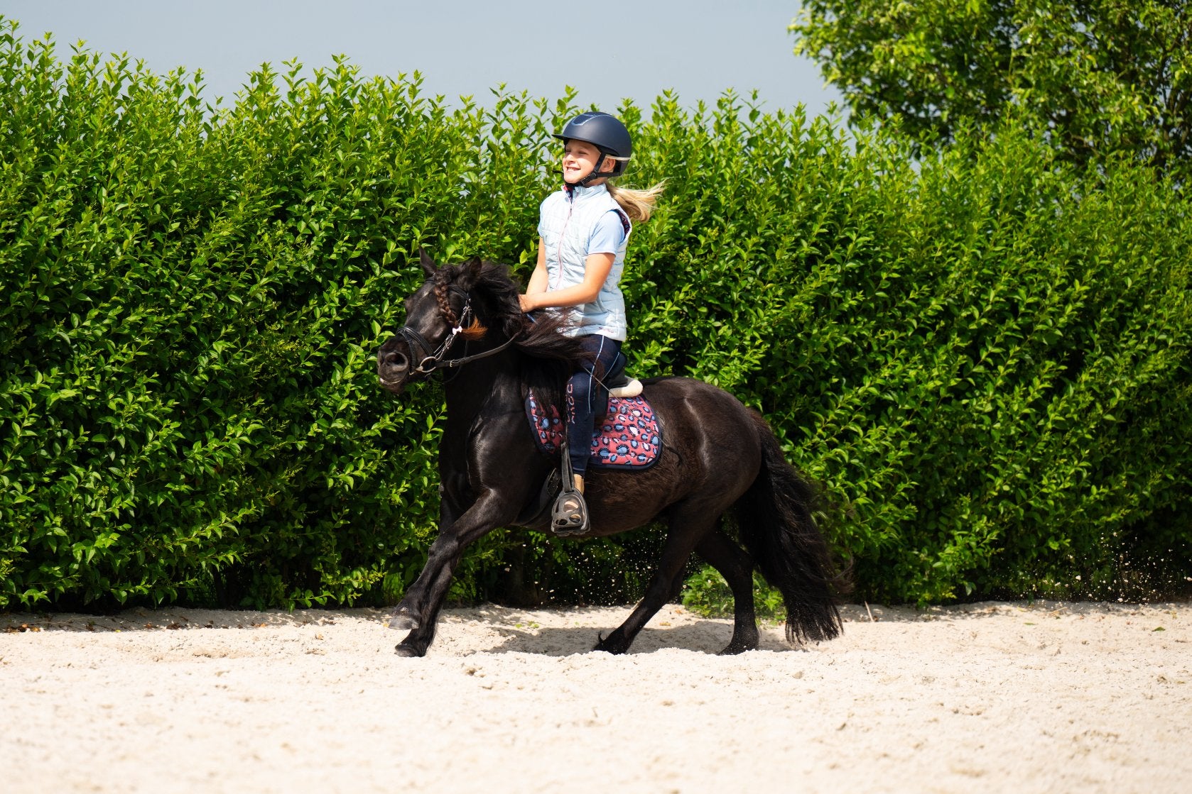 Lieve & Knappe bereden shetlander merrie, Dieren en Toebehoren, Merrie, Met stamboom, Zadelmak, A pony (tot 1.17m)