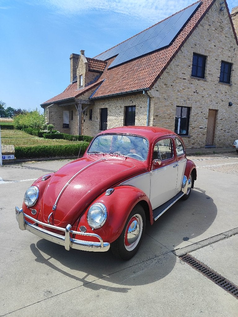 Vw kever 1200 bwj 1962 perfecte staat, gekeurd + garantie, Beetle (Kever), 4 cilinders, https://public.car-pass.be/vhr/52898d80-7150-4717-9085-295adc3a9b60