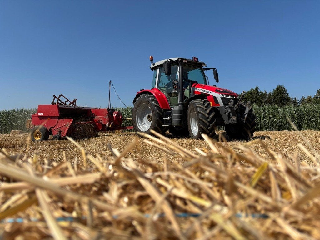 paille, Articles professionnels, Agriculture | Aliments pour bétail, Enlèvement