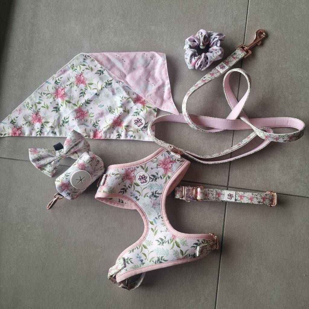 Set wandelen hond tuigje riem halsband M bloemen, Ophalen of Verzenden, Nieuw