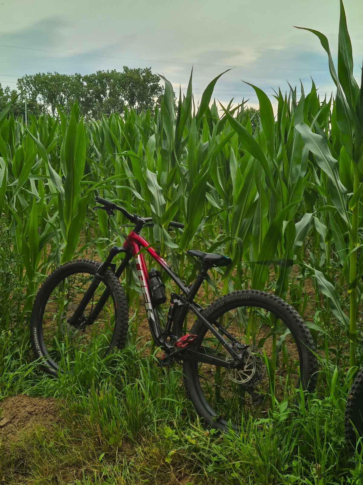 Édition Trek Fuel Ex 8 Sram. ML, Vélos & Vélomoteurs, 10 à 15 vitesses, Comme neuf, Enlèvement, Frein à disque