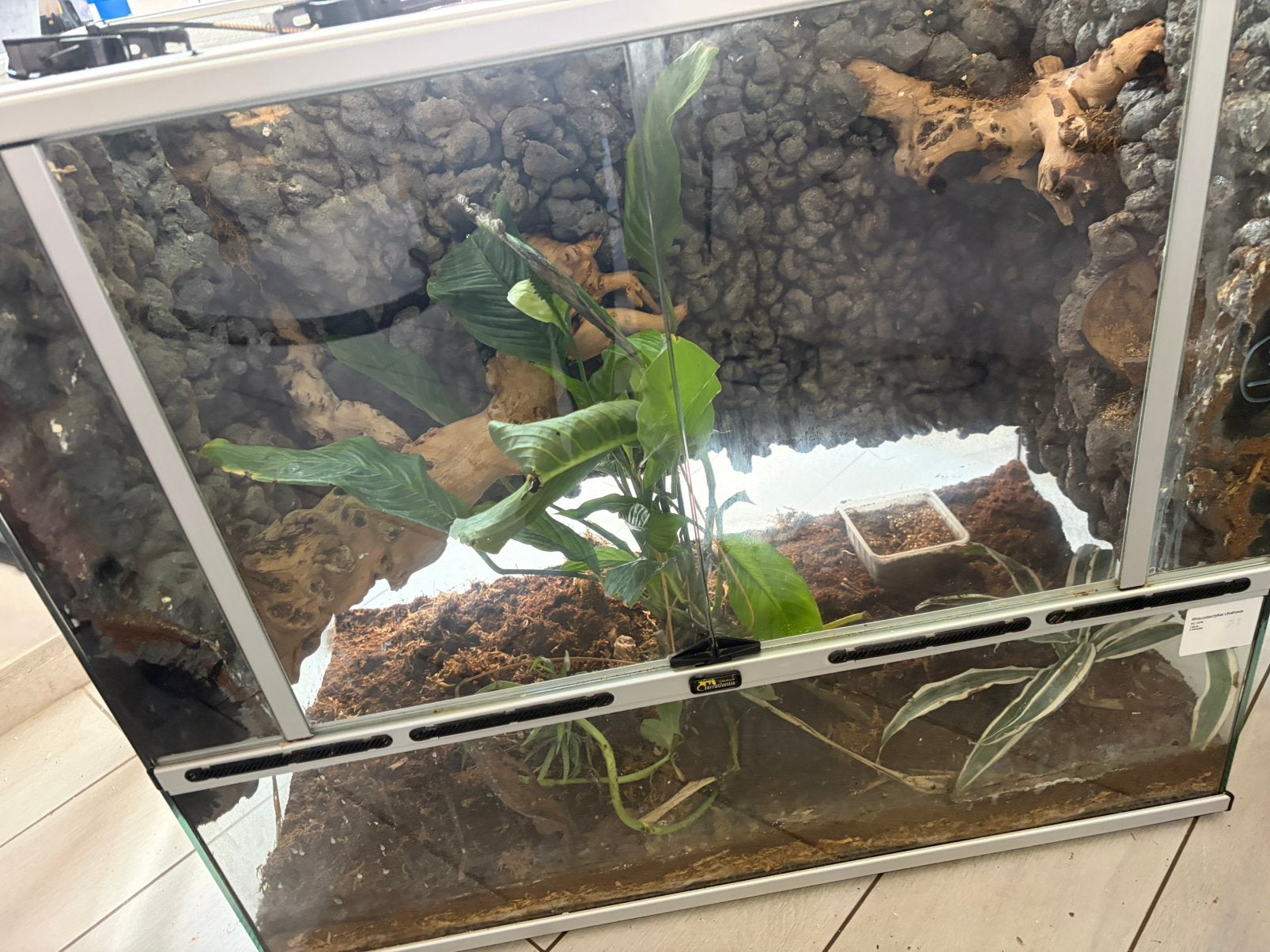 Terrarium 90x45x90, Animaux & Accessoires, Enlèvement, Comme neuf