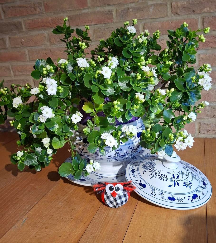 Vintage service, Antiek en Kunst, Ophalen