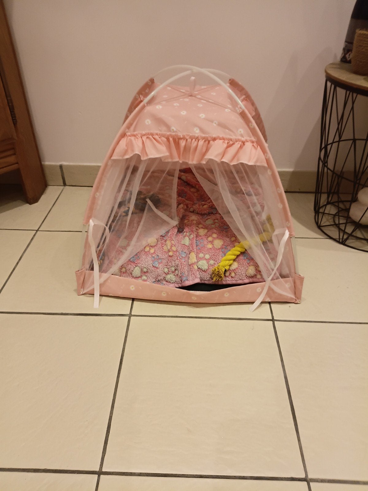 magnifique panier pour petit chien, Animaux & Accessoires, Enlèvement, Neuf, Autre