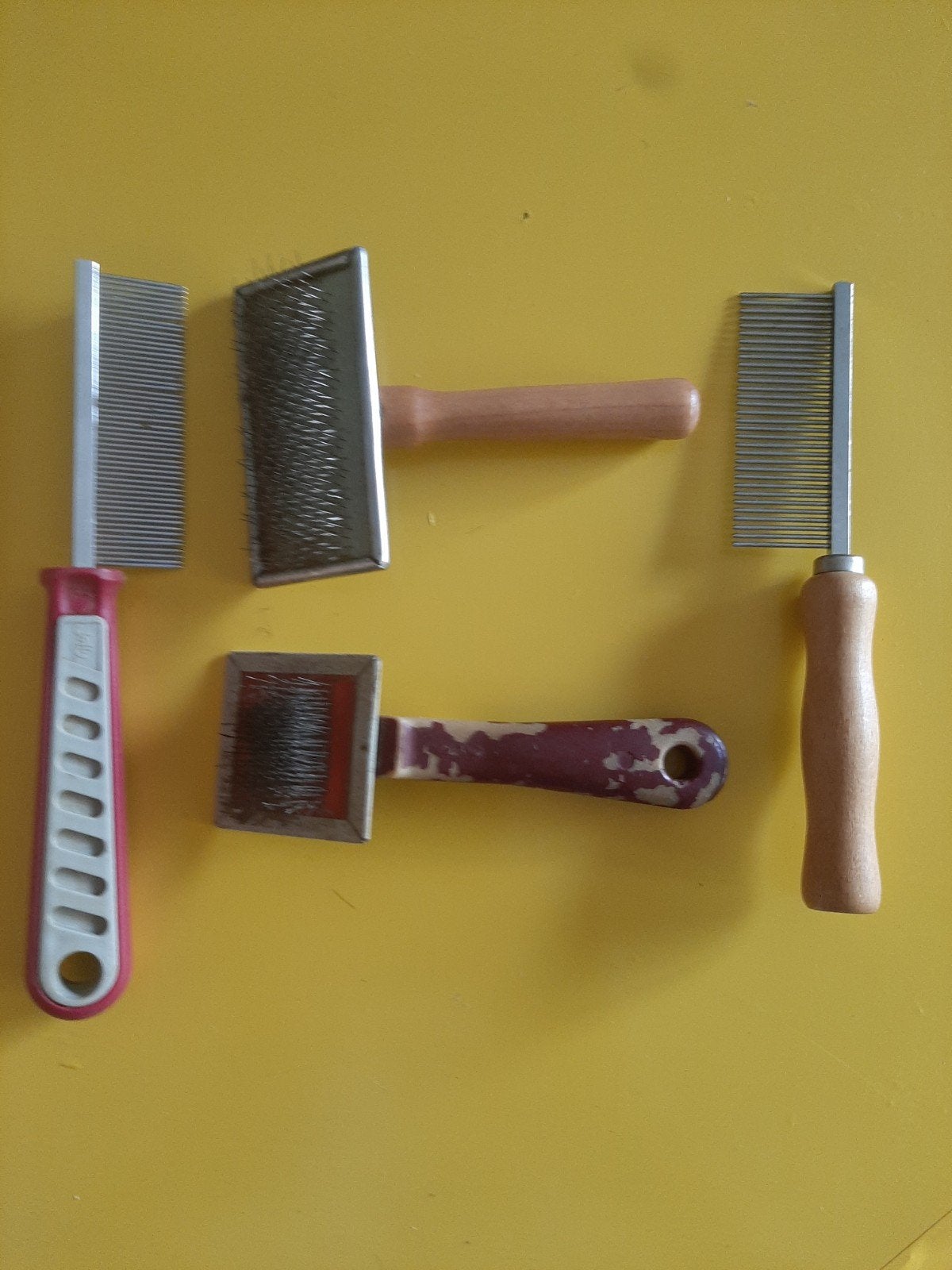brosses et peignes pour chiens pour caniches et malthezers, Enlèvement