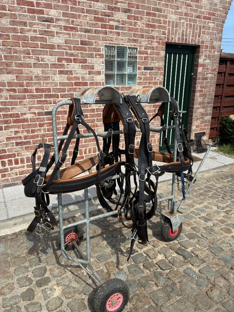Engin à deux roues, Animaux & Accessoires, Chevaux & Poneys | Brides & Harnachement, Enlèvement ou Envoi, Collier de chasse, Utilisé