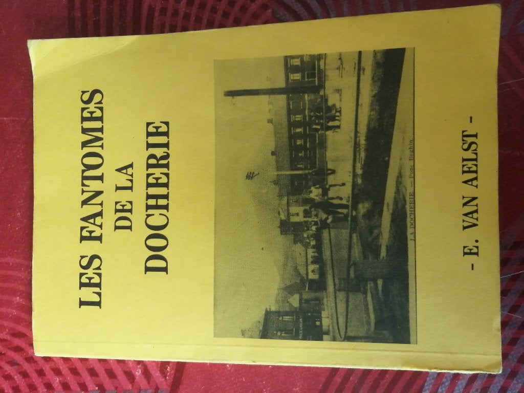 livre les fantômes de la docherie, Livres, Fantastique, Enlèvement ou Envoi