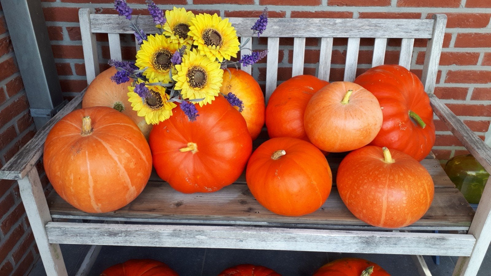 pompoenen butternut Halloween en gratis pepertje, Ophalen