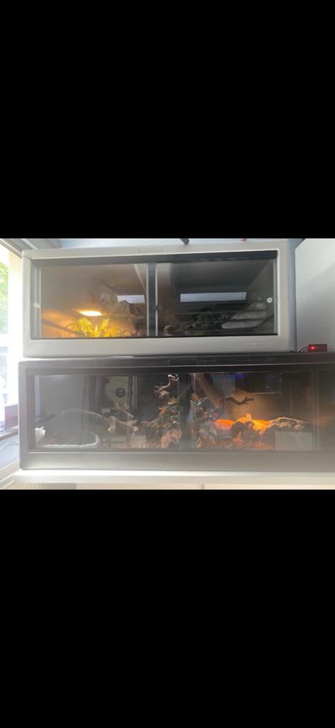 Terrarium Herptek 150x70x50 (le noir), Ophalen, Zo goed als nieuw