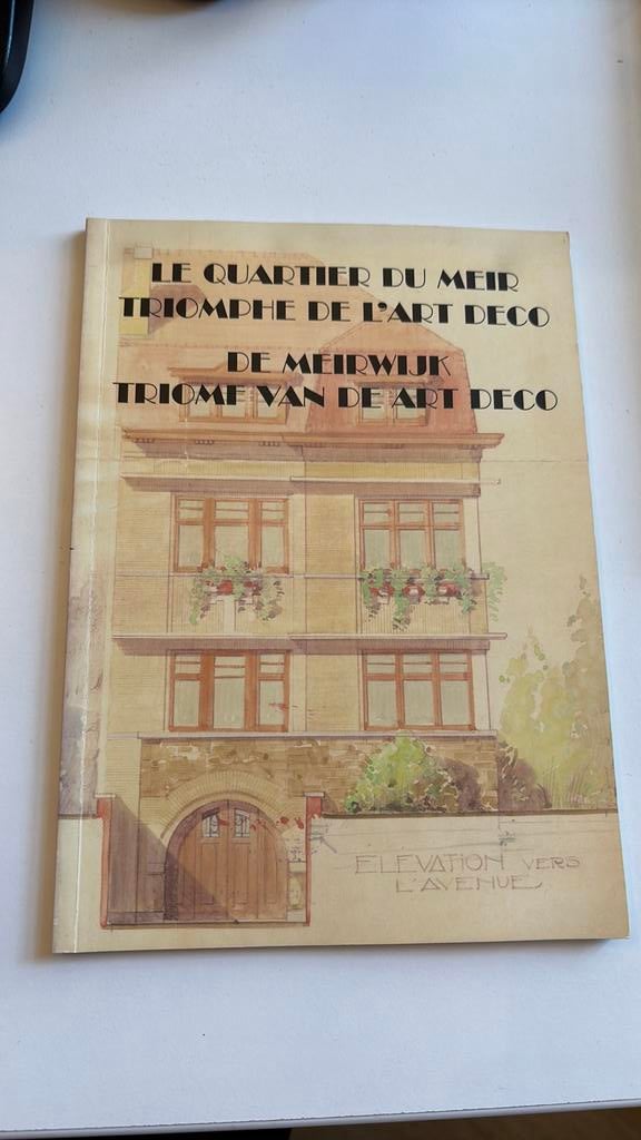 De meirwijk triomf van de architectuur, Boeken, Ophalen of Verzenden, Zo goed als nieuw