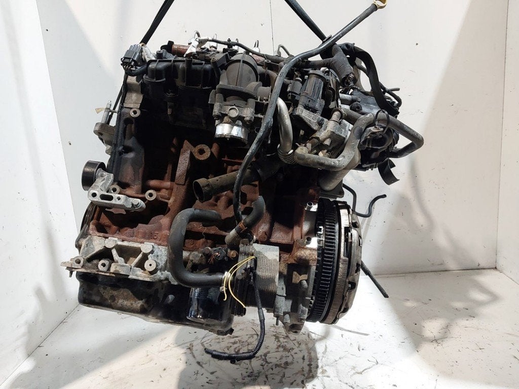 MOTOR Ford Transit Custom (01-2011/12-2023), Dhr. J. Ham, Gebruikt, Administratie@autoham.nl, Ford