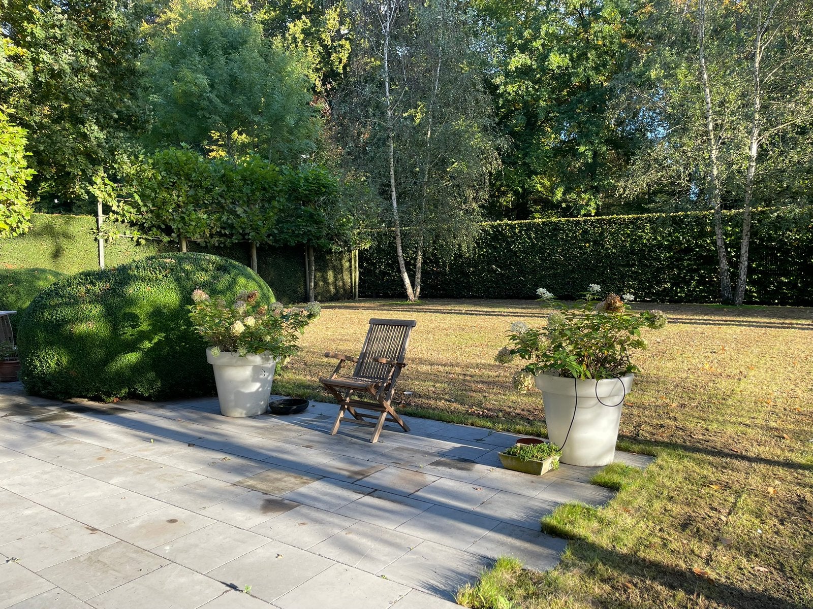 BLOOM set van 2 grote heldere bloempotten, Tuin en Terras, Ophalen, Kunststof, Gebruikt, Rond