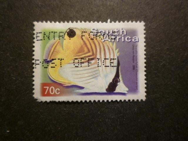 Zuid-Afrika/Afrique du Sud 2000 Mi 1292A(o), Envoi, Afrique du Sud