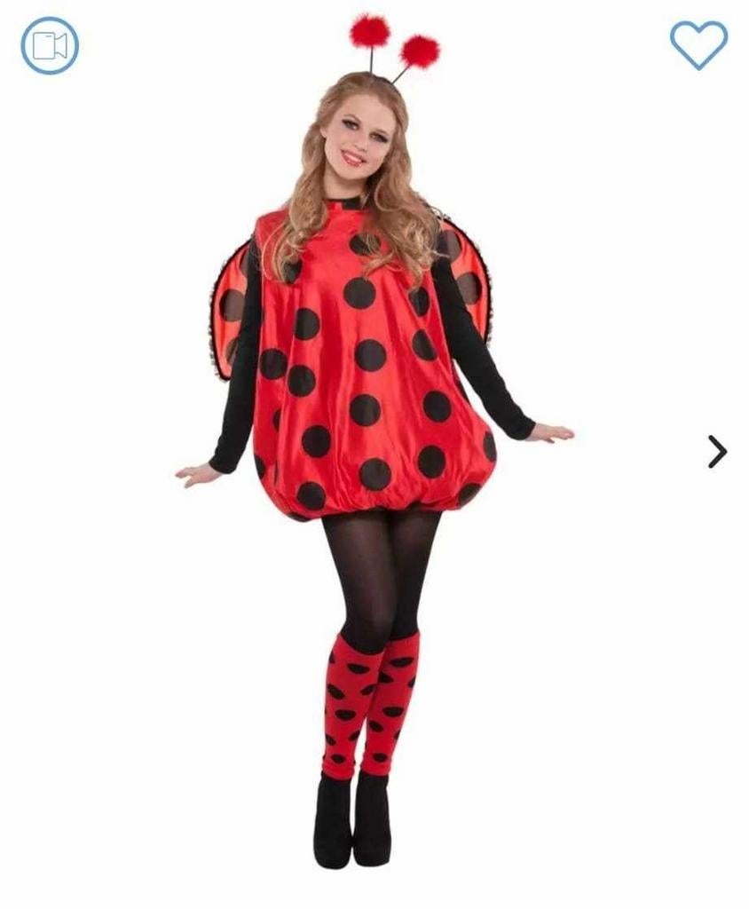 Kleed carnaval Lieveheersbeestje maat XL