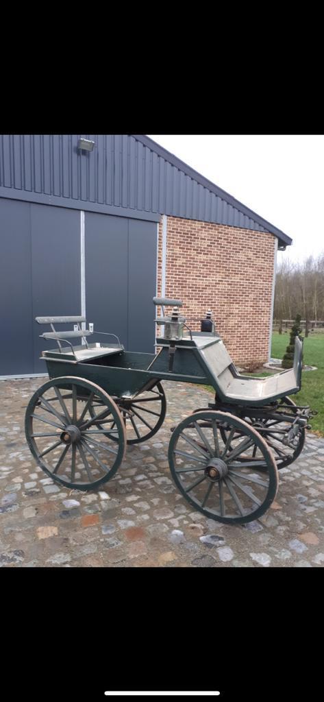 frans wagonette, Dieren en Toebehoren, Gebruikt, Wagonette
