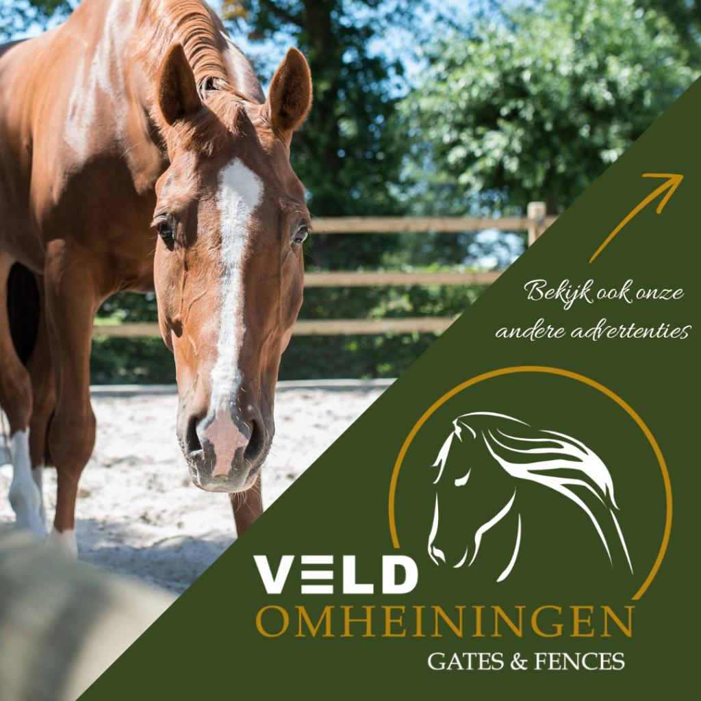 Veld Omheiningen, Rijbak, Paddock, Hekwerk, Afrastering, Weidegang, 4 paarden of pony's of meer