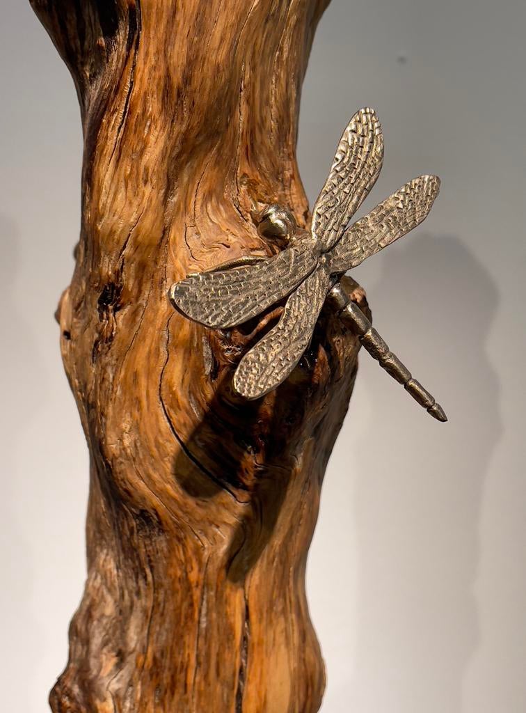 Artistieke sculptuur in olijfhout met bronzen libellen, Ophalen