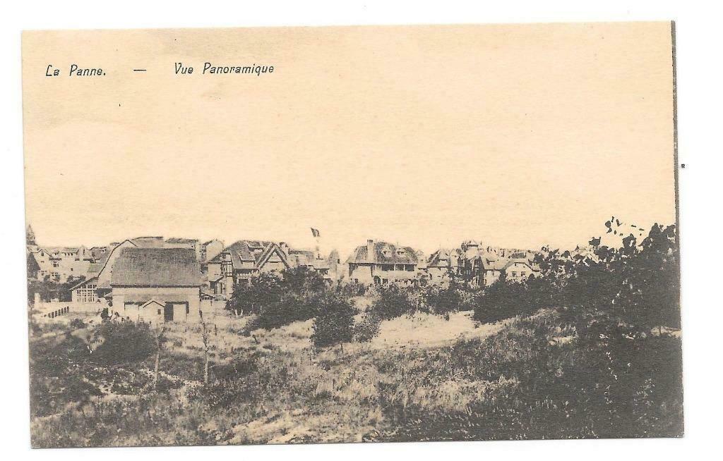 La Panne vue panoramique, Enlèvement ou Envoi, Non affranchie, Flandre Occidentale
