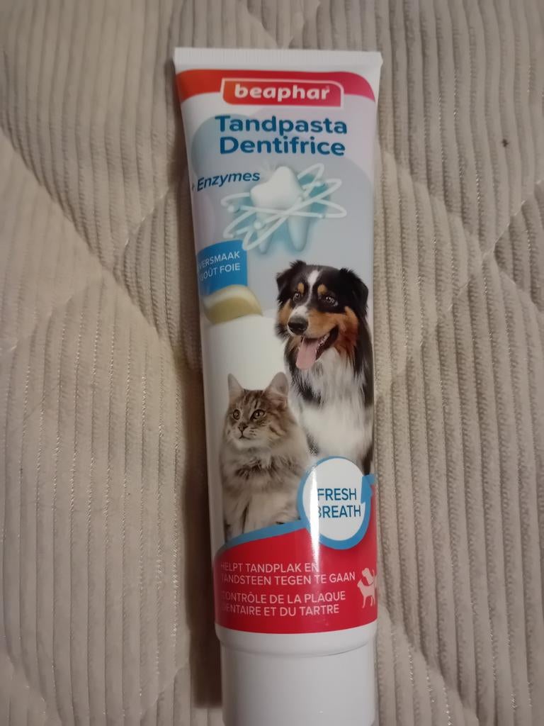 Tandpasta hond en kat, Dieren en Toebehoren, Katten-accessoires, Ophalen