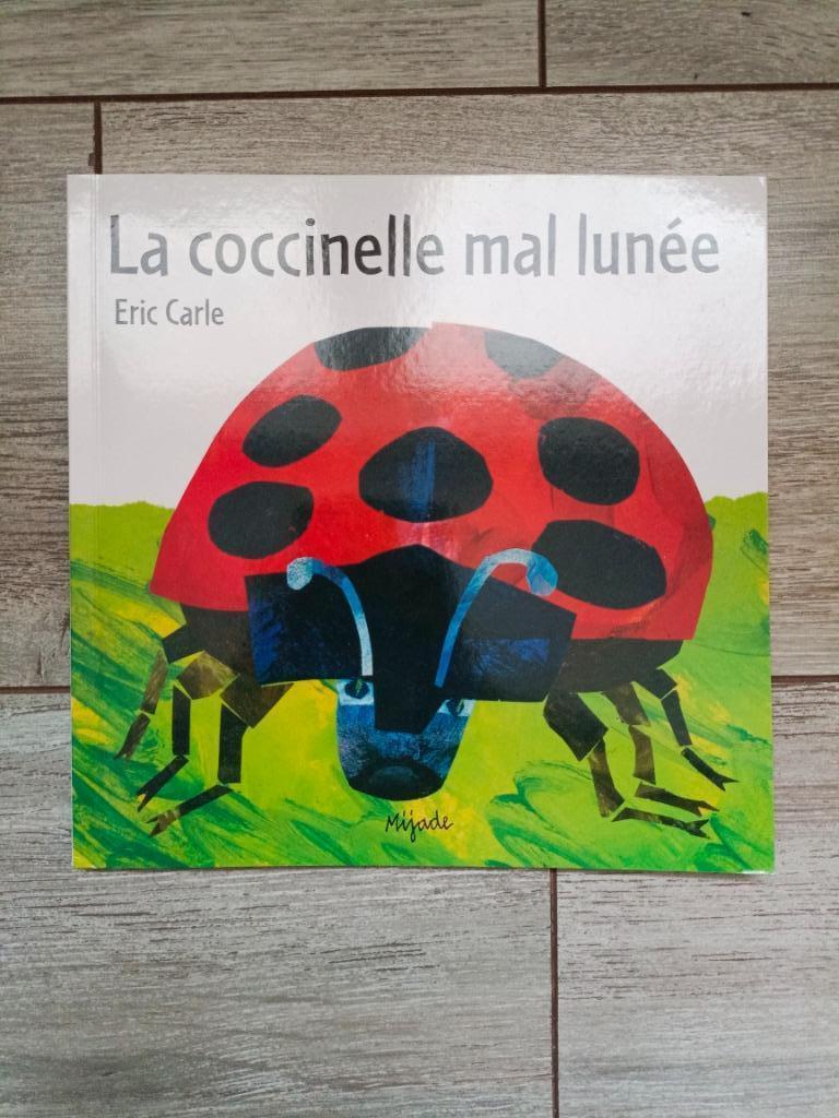 Boek Het lieveheersbeestje in de maan (in het FRANS), Boeken, Ophalen, Gelezen
