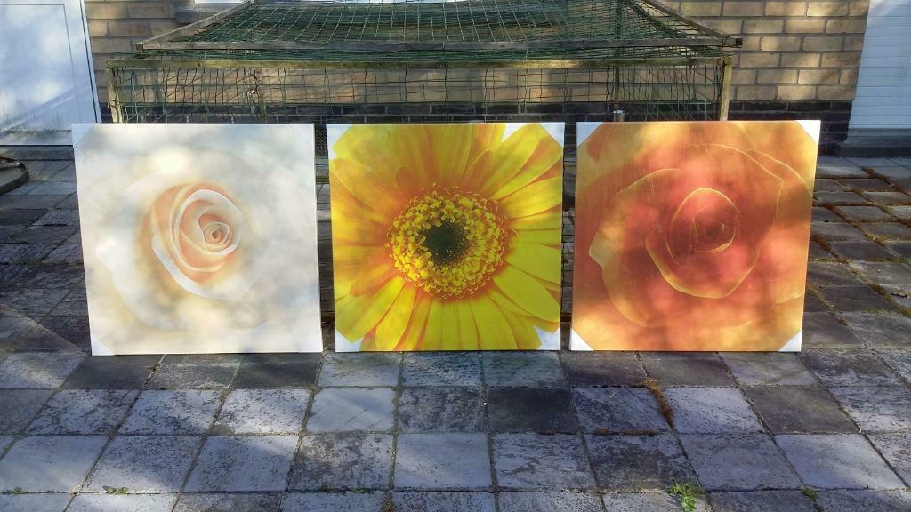 Kader / canvas met kader / doek op frame met bloemen / bloem, Ophalen of Verzenden, Nieuw