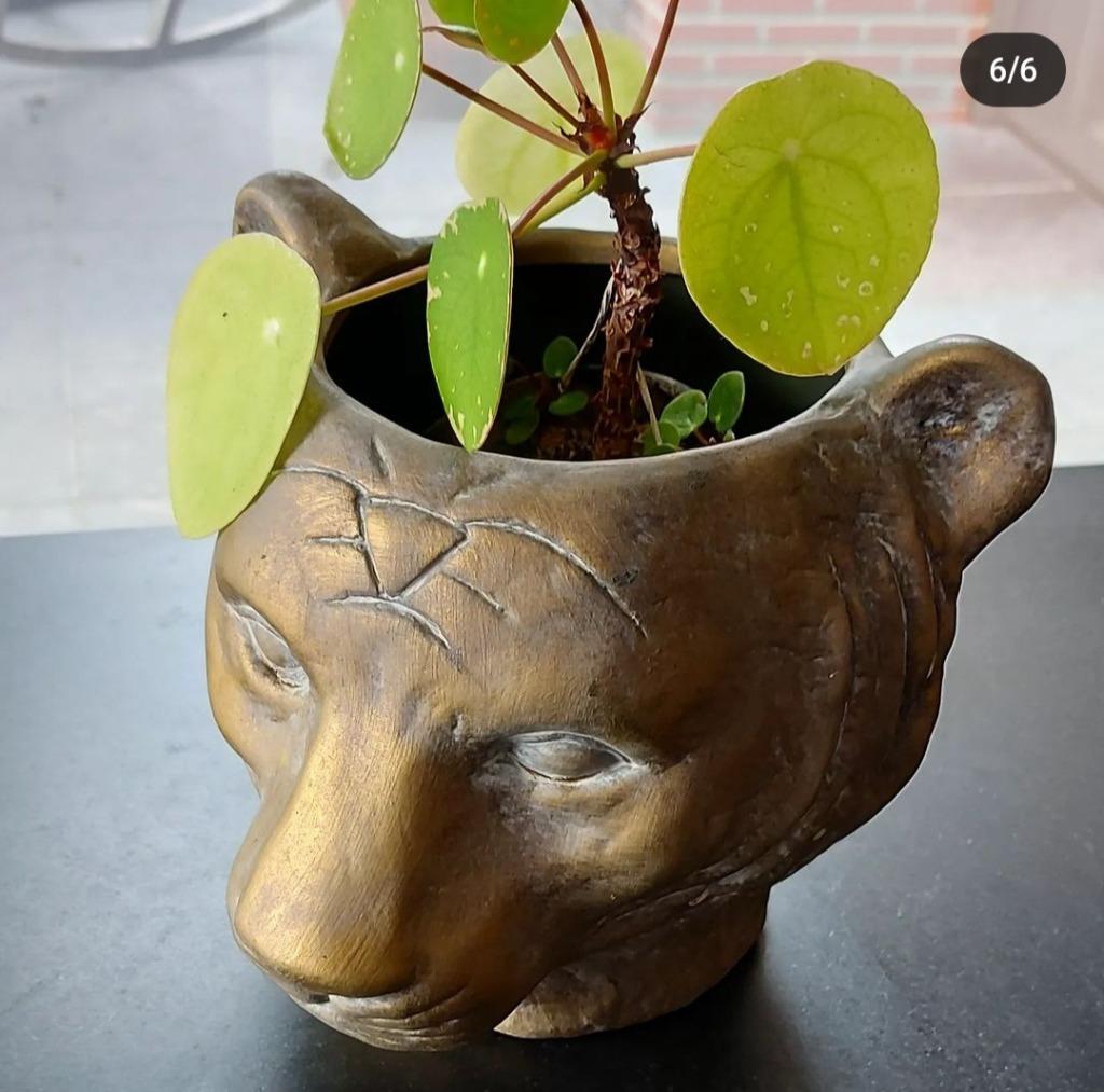 Bloempot tijger panter, Ophalen of Verzenden