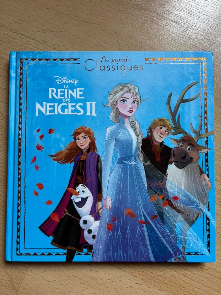 Livre Disney « La reine des neiges 2 », Enlèvement, Comme neuf