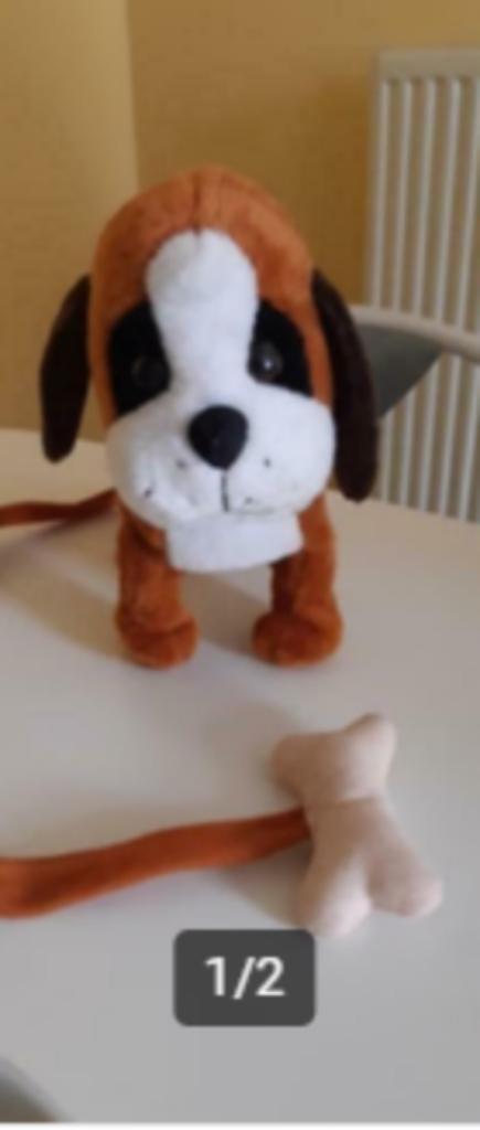 Hondje wat kan wandelen, Verzenden