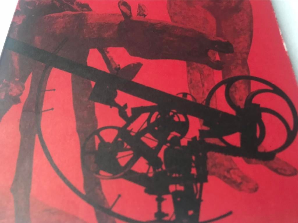 Tinguely César D’Haese 100pag, Boeken, Ophalen of Verzenden, Zo goed als nieuw, Beeldhouwkunst