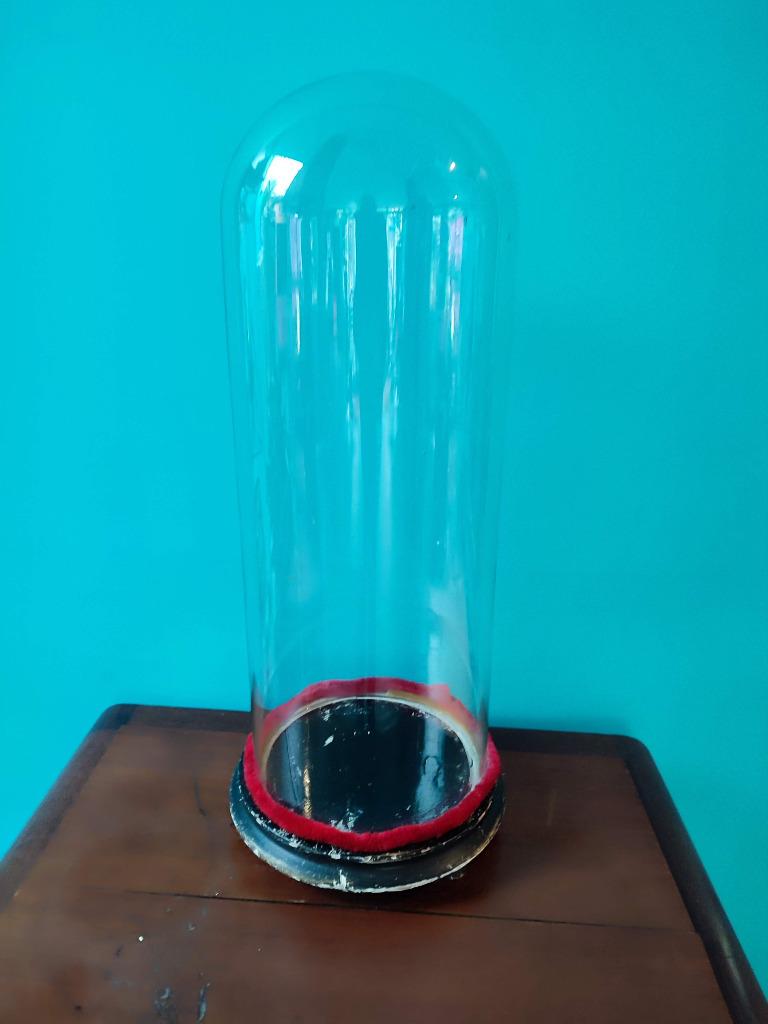 oude glazen stolp, Antiek en Kunst, Ophalen