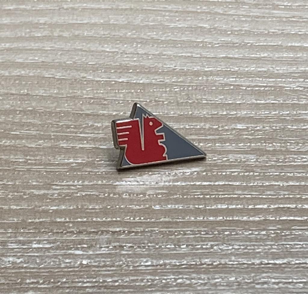 PIN - EEKHOORN - ECUREUIL - SQUIRREL, Envoi, Utilisé, Animal et Nature, Insigne ou Pin's